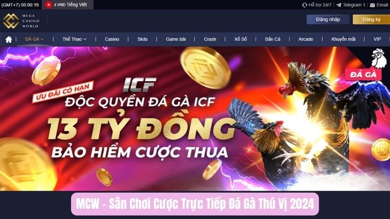 Giới thiệu MCW - Sân chơi cược trực tiếp đá gà hấp dẫn